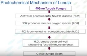 Science behind Lunula Laser results